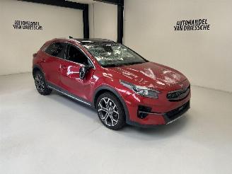damaged commercial vehicles Kia Xceed  2019/9