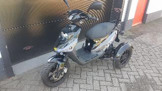 danneggiata roulotte PGO  PGO driewielscooter 2012/1