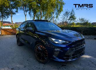 Cupra Terramar Cupra Terramar 2.0 TSI 4Drive VZ PANORAMA HUD Trekhaak Sennheiser Sound Standkachel VOLL 2025/9