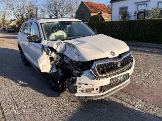 Skoda Kodiaq 1.5 TSi 2022/4