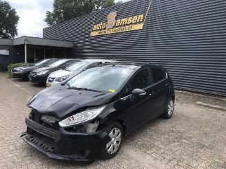 Ford Fiesta 2015/8