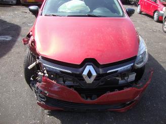 damaged caravans Renault Clio  2014/1