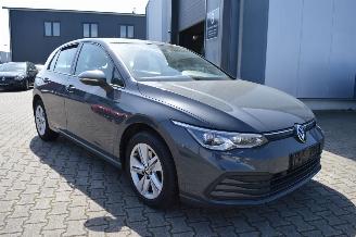 Volkswagen Golf Volkswagen Golf VIII Life + Alcantara Pdc kam Acc IQ Light 2023/2