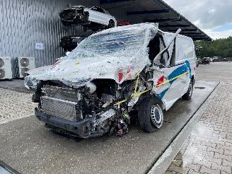 Damaged car Volkswagen Transporter T6 Kasten 2020/4