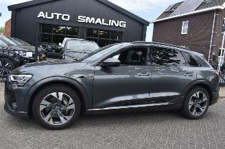 Audi E-tron 71Kwh Quattro 50 S Line 313Pk SOH 99% 3FASE *Navi/Clima/Stoelverwarming/Panorama 2019/12
