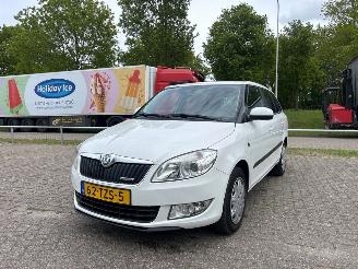 Skoda Fabia TMBJK25J3C3146746 2012/5